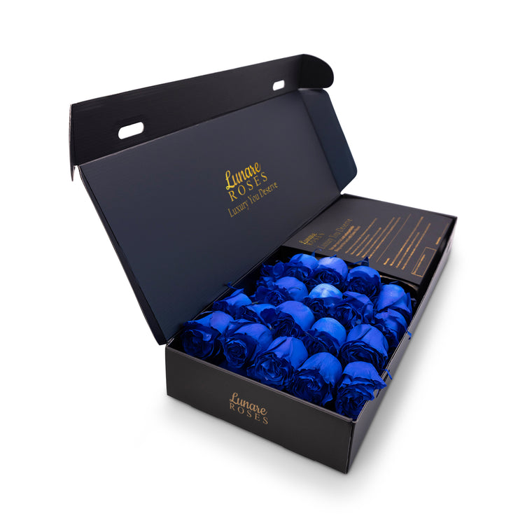 Luxury Fresh Blue Roses UK - Signature Blue Rose Box