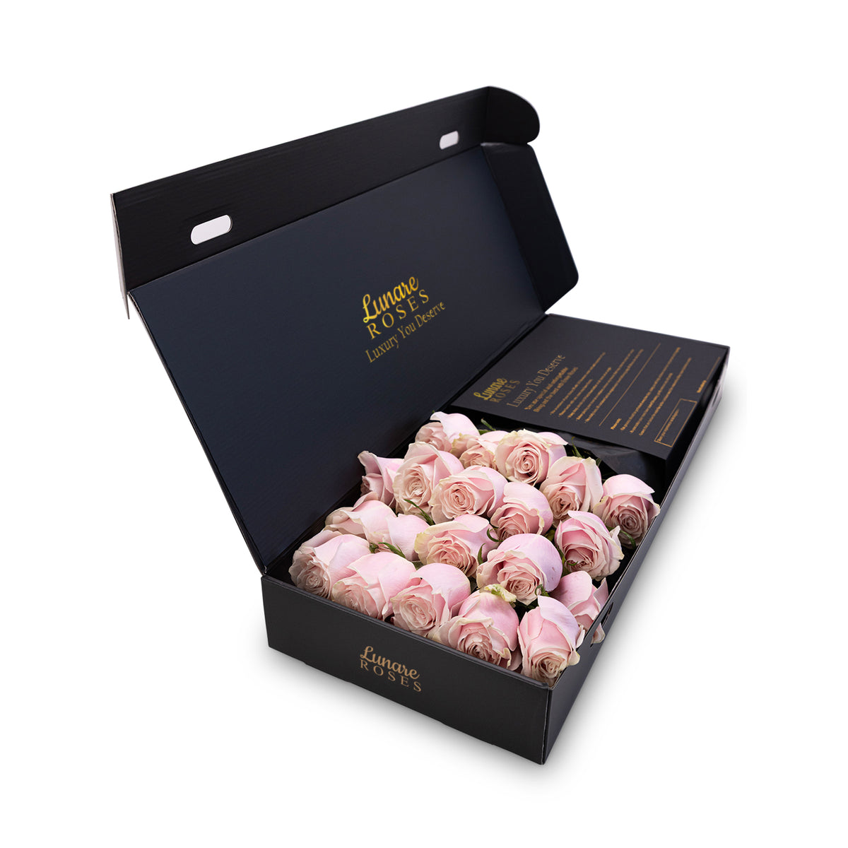 Pink Roses in a Box - Luxury Fresh Pink Rose Delivery UK | Lunare Roses