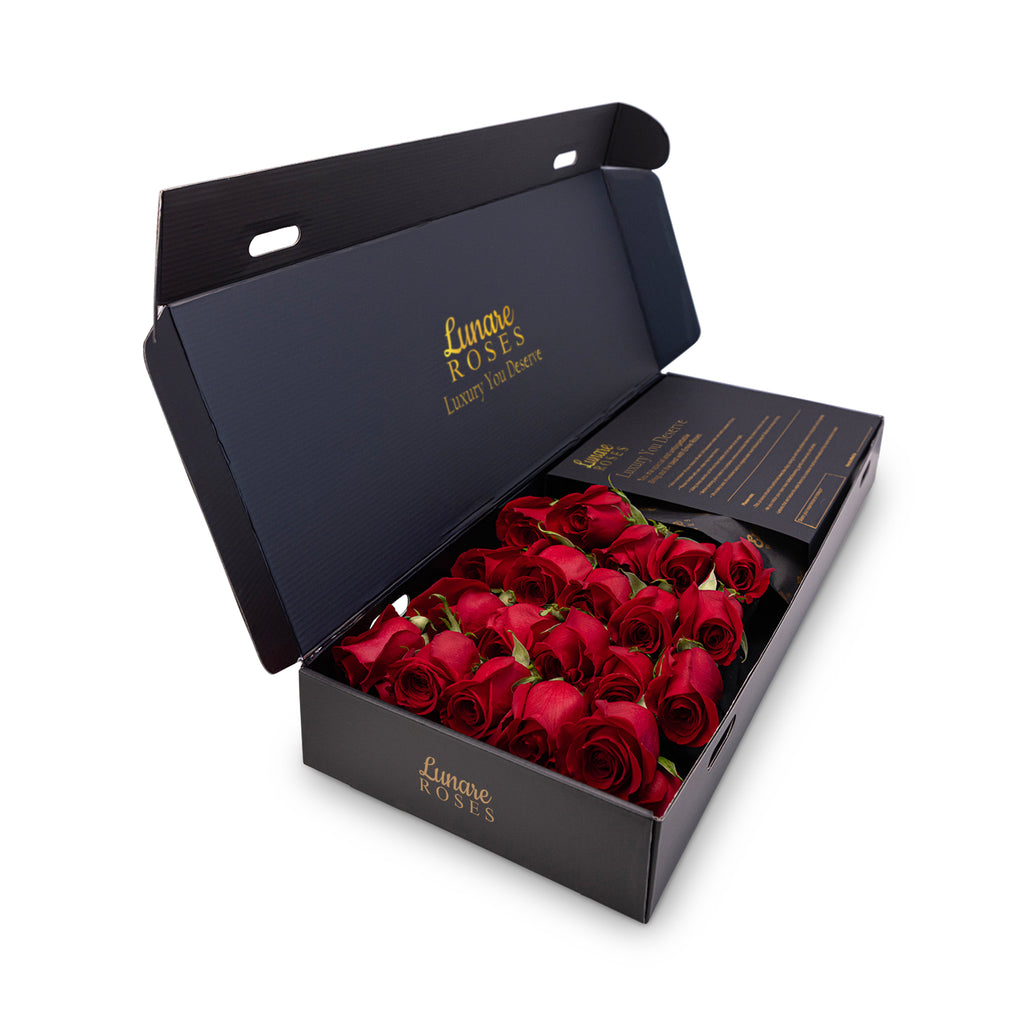 Fresh red Ecuadorian roses in signature black and gold box - Lunare Roses