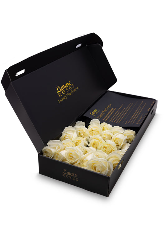 Luxury White Roses UK – Fresh Premium Roses in Signature Box