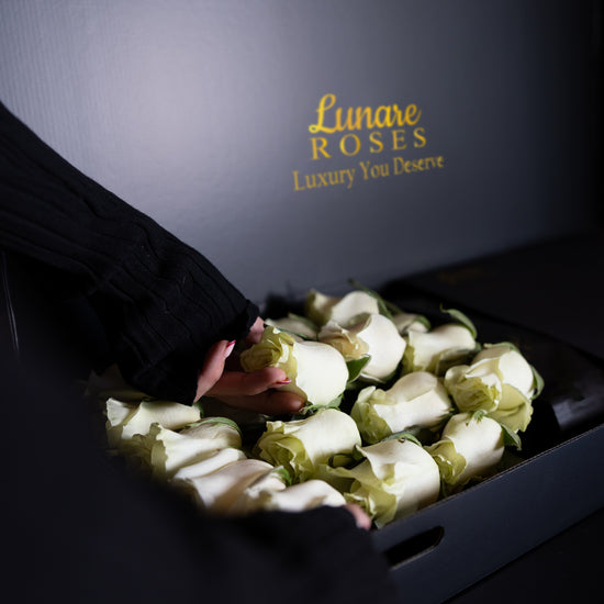 Luxury White Roses UK – Fresh Premium Roses in Signature Box