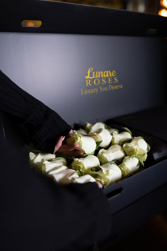 Luxury White Roses UK – Fresh Premium Roses in Signature Box